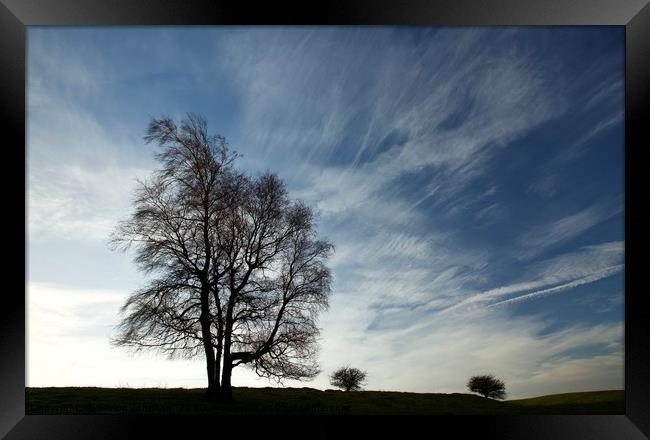 trees and clouds Framed Print by Simon Johnson