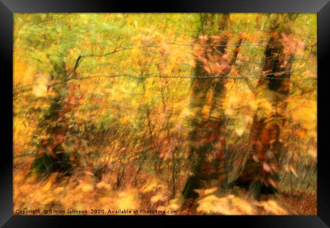 sunlit autumn woodland Framed Print by Simon Johnson