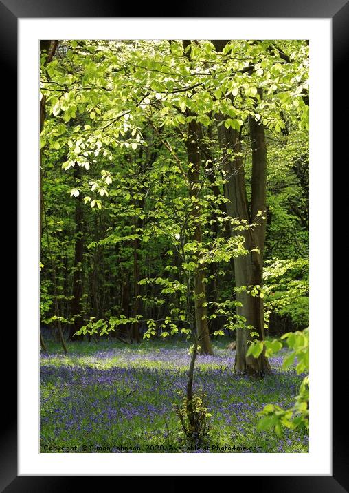 Spring Woodland and bluebells Framed Mounted Print by Simon Johnson