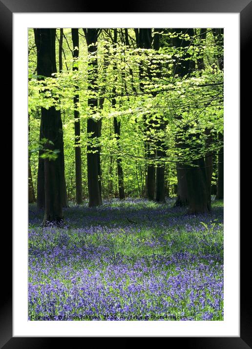 Bluebell Woods Cotswolds x Framed Mounted Print by Simon Johnson