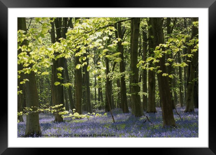 Cotswold wood Framed Mounted Print by Simon Johnson