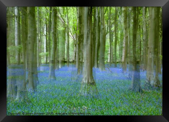 Bluebell Woodland Framed Print by Simon Johnson