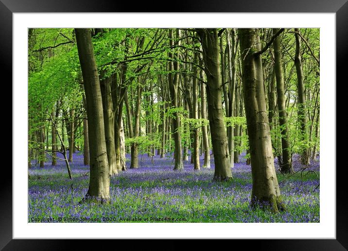 Bluebell woodland Framed Mounted Print by Simon Johnson