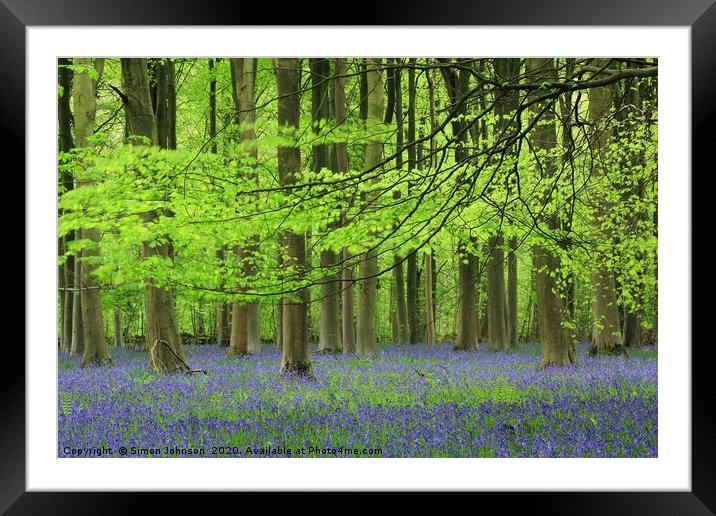 Bluebell Woodland Framed Mounted Print by Simon Johnson