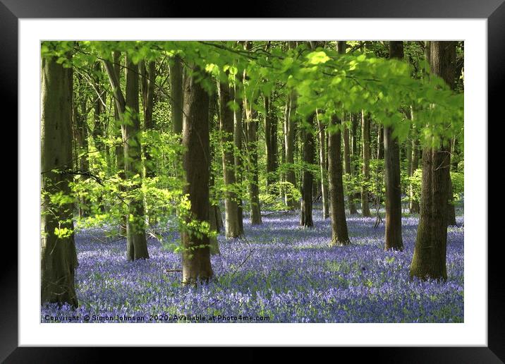Sunlit bluebell Wood Framed Mounted Print by Simon Johnson