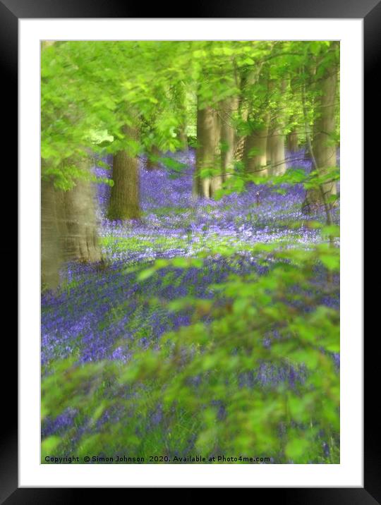 Bluebells and Beech leaves Framed Mounted Print by Simon Johnson