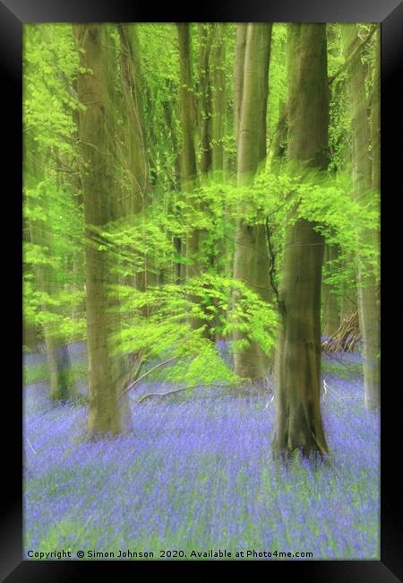 Bluebell Woodland Framed Print by Simon Johnson