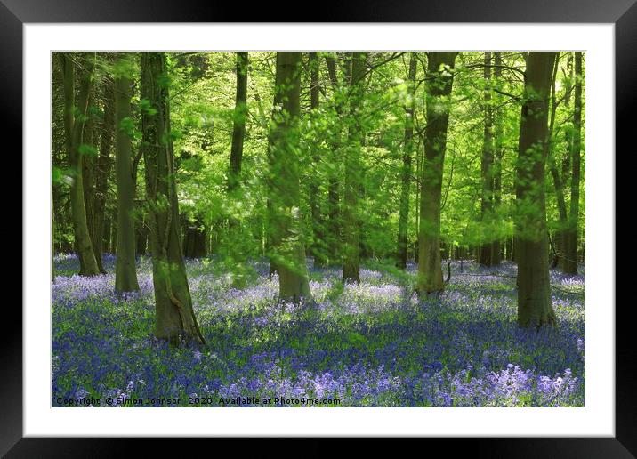 bluebell Woodland Framed Mounted Print by Simon Johnson