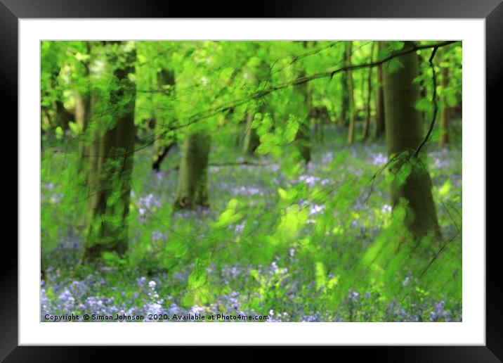 Leaves and bluebells Framed Mounted Print by Simon Johnson