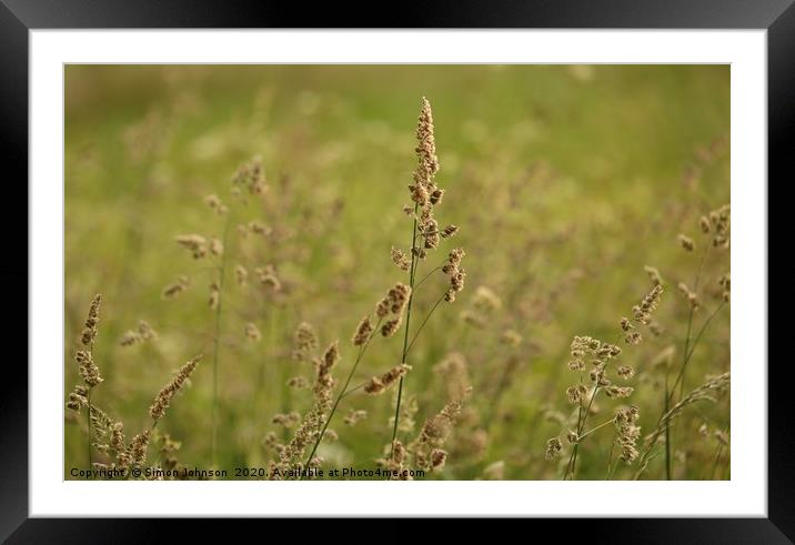 meadow grass,  Framed Mounted Print by Simon Johnson