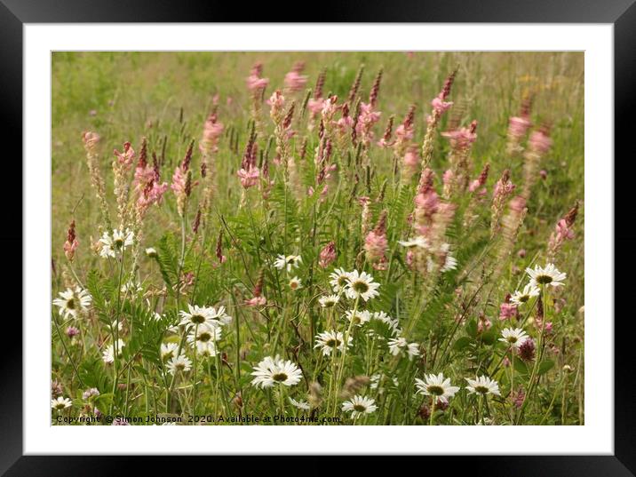 Daisys and meadow grass  Framed Mounted Print by Simon Johnson