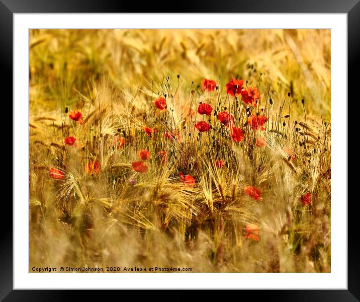 Poppies in Corn Framed Mounted Print by Simon Johnson