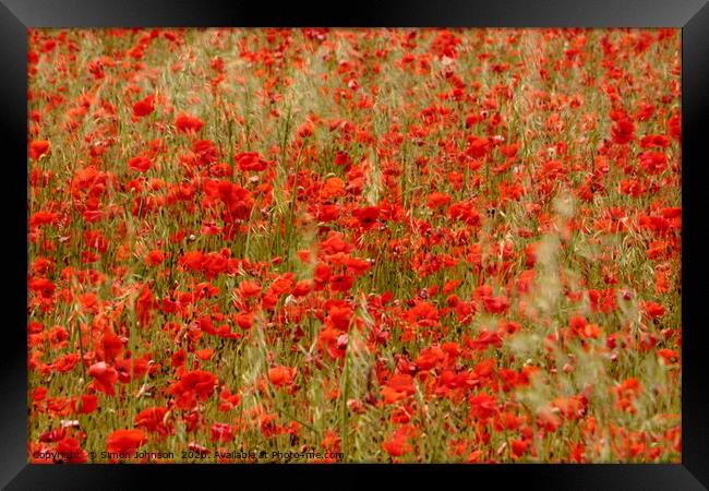 Impressionist image of poppies Framed Print by Simon Johnson