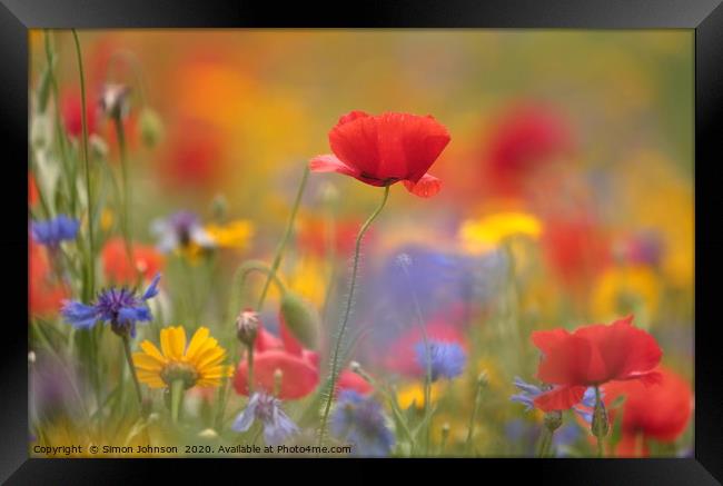 poppy and meadow flowers, Framed Print by Simon Johnson
