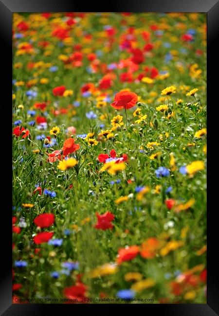 meadow flowers Framed Print by Simon Johnson