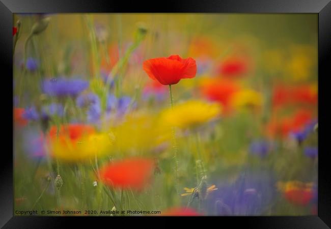 Poppy and meadow flowers Framed Print by Simon Johnson