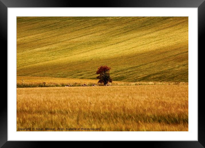 Lonesome tree   Framed Mounted Print by Simon Johnson