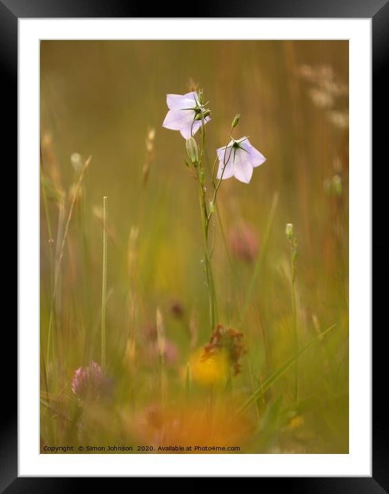 meadow flowers Cotswolds  Framed Mounted Print by Simon Johnson