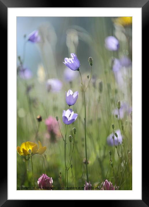 Hairbell Flowers Framed Mounted Print by Simon Johnson