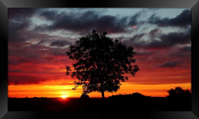 Cotswold Sunrise Framed Print by Simon Johnson