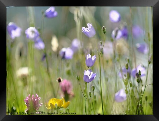 Harebells Framed Print by Simon Johnson