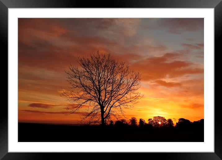 Cotswold sunrise Framed Mounted Print by Simon Johnson