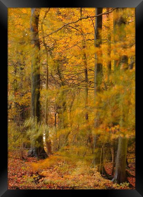 Gale in autumn Woodland Framed Print by Simon Johnson