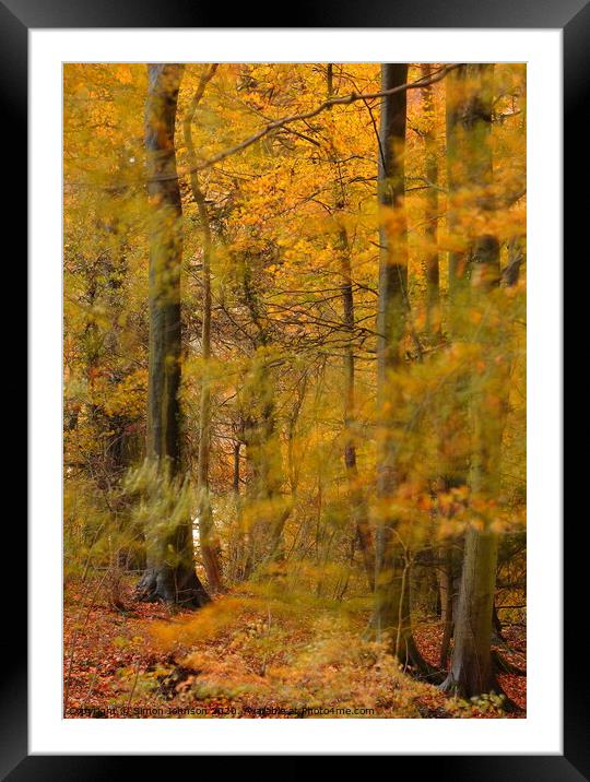 Gale in autumn Woodland Framed Mounted Print by Simon Johnson