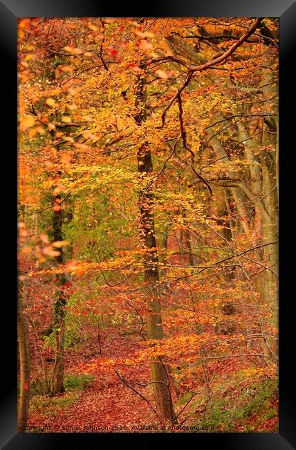 Autumn Colour Framed Print by Simon Johnson