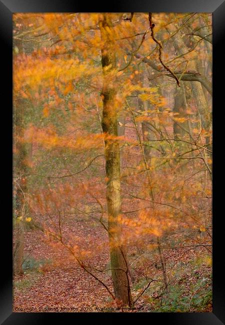 Impressionist image of  Autumn Woodland Framed Print by Simon Johnson