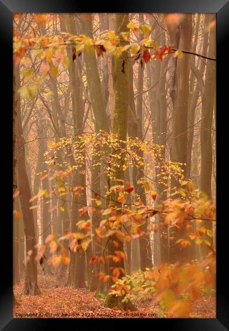 Autumn Mist and Woodland Framed Print by Simon Johnson