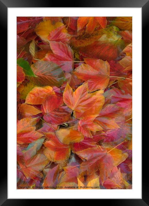 Autumn leaf Collage with artistic blur Framed Mounted Print by Simon Johnson