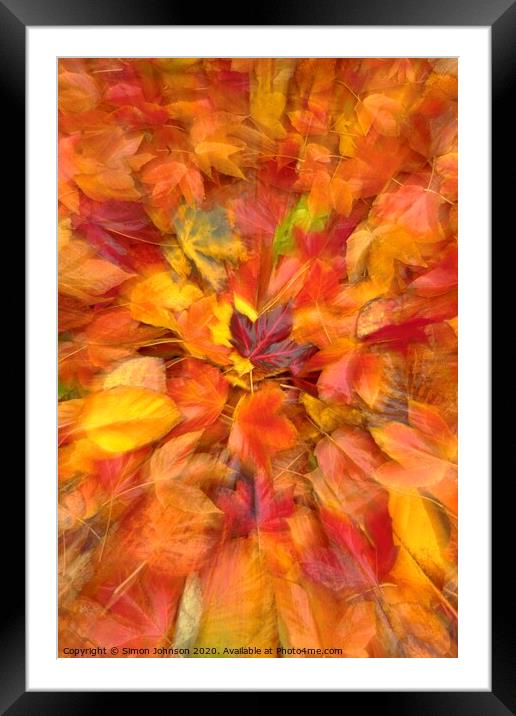 Autumn leaf collage Framed Mounted Print by Simon Johnson
