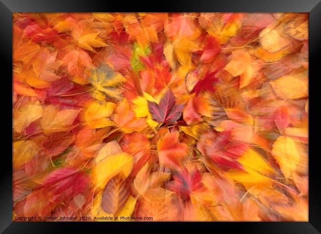 Autumn collage Framed Print by Simon Johnson
