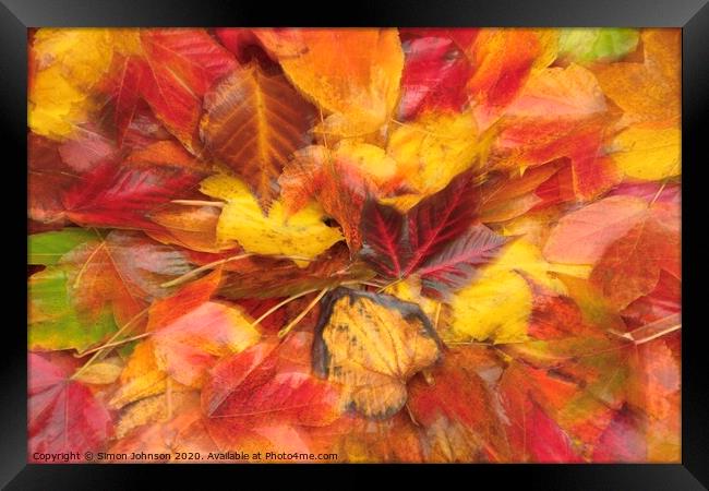 Autumn Ldeaf Collage Framed Print by Simon Johnson