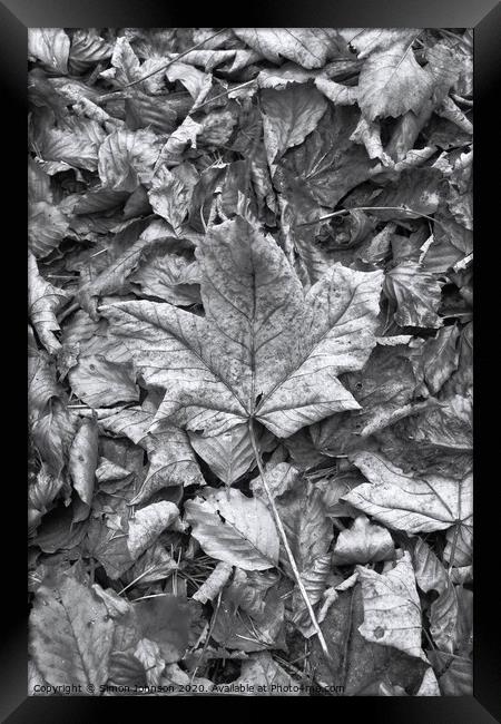 Leaf collage Framed Print by Simon Johnson