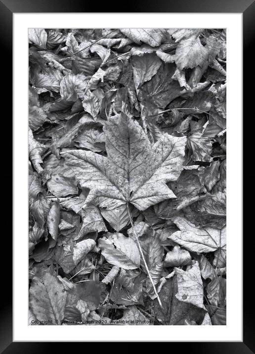 Leaf collage Framed Mounted Print by Simon Johnson