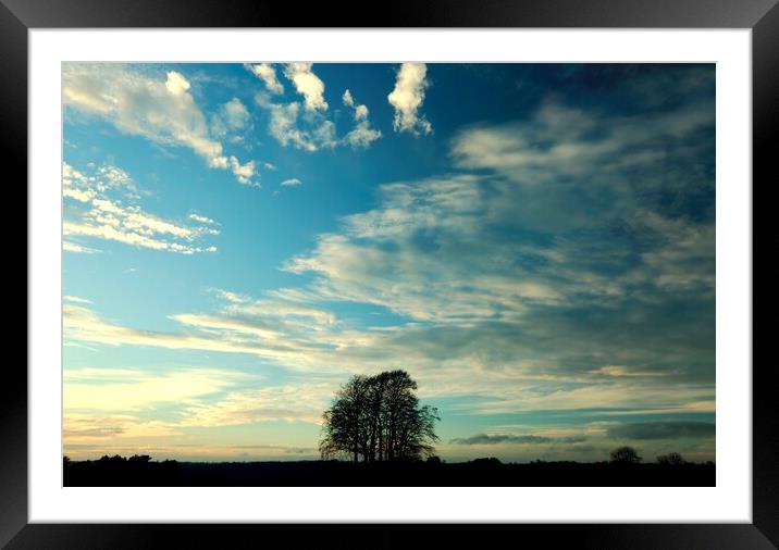 Isolated tree  Framed Mounted Print by Simon Johnson