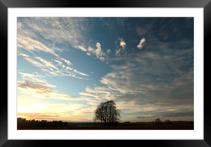 Trees and sky Framed Mounted Print by Simon Johnson