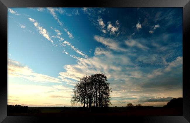 jTrees and clouds Framed Print by Simon Johnson