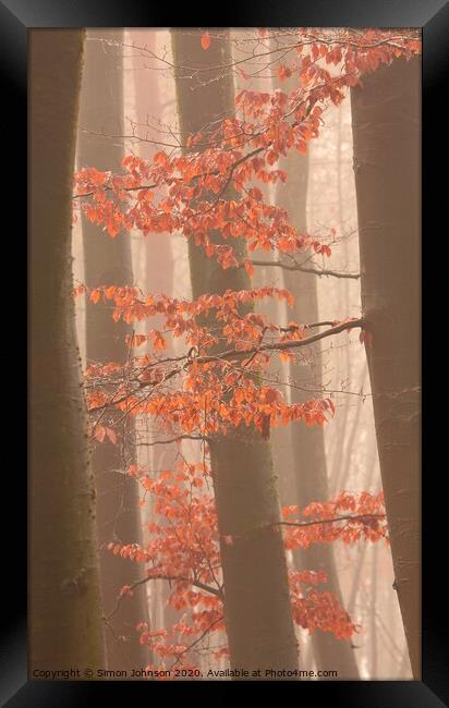 Autumn leaves and trees Framed Print by Simon Johnson