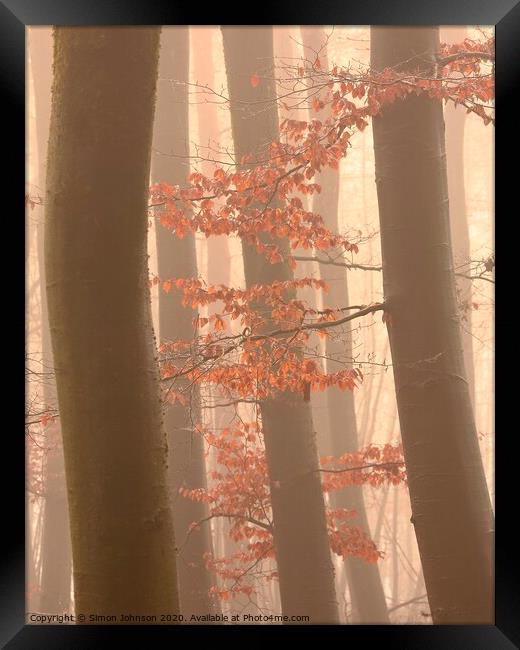 Autumn Leaves Framed Print by Simon Johnson