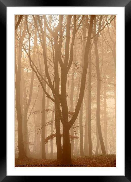 Misty Woodland  Framed Mounted Print by Simon Johnson