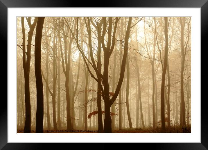 Misty woodland Framed Mounted Print by Simon Johnson