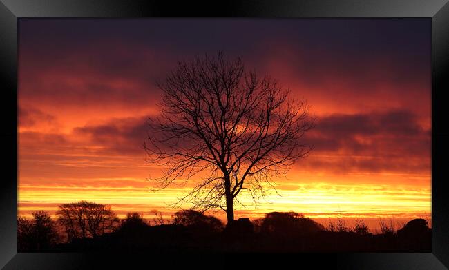  Cotswold sunrise Framed Print by Simon Johnson