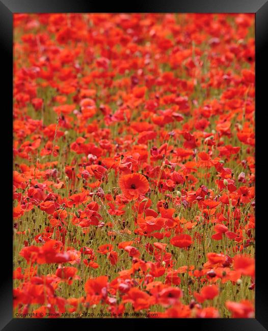 Summer Poppyfield Framed Print by Simon Johnson