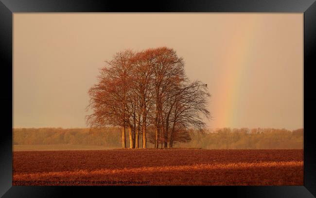 Trees and storm light Framed Print by Simon Johnson