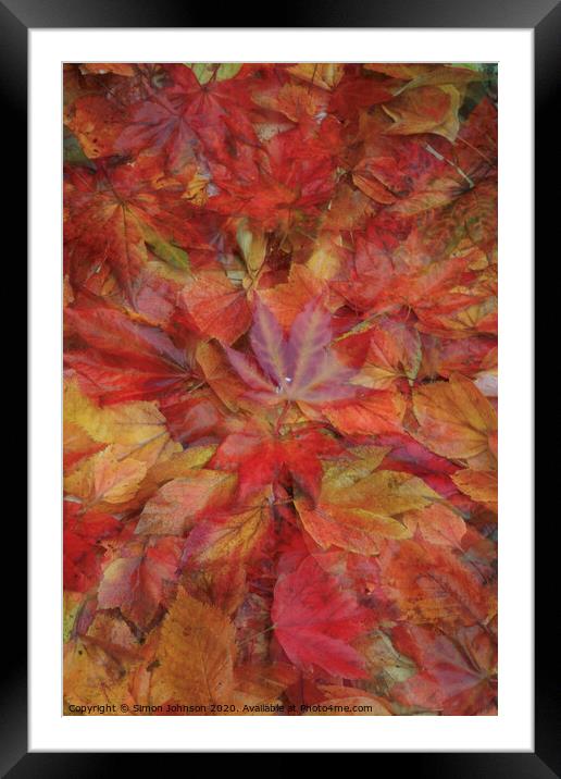 Autumn leaf Collage Framed Mounted Print by Simon Johnson