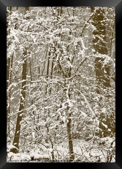 Woodland blizzard Framed Print by Simon Johnson