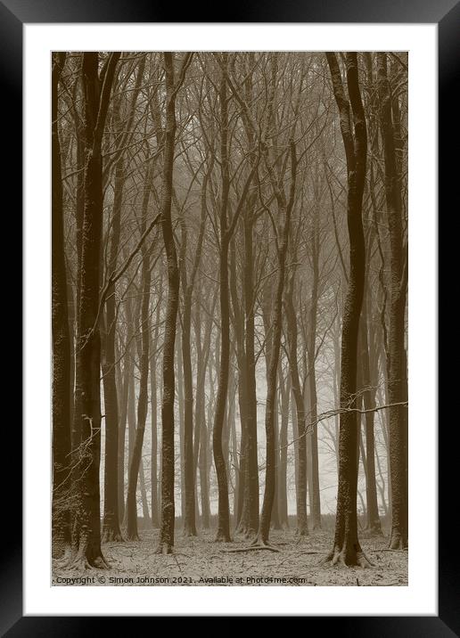 Beech wood winter Framed Mounted Print by Simon Johnson